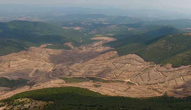 200 bin ağaç kesildi! Kazdağları’ndaki Alamos Gold firmasına ikinci kez ruhsat çıkmadı